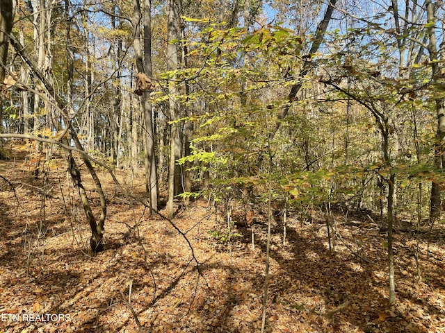 Creek Rd, Powell, TN 37849
