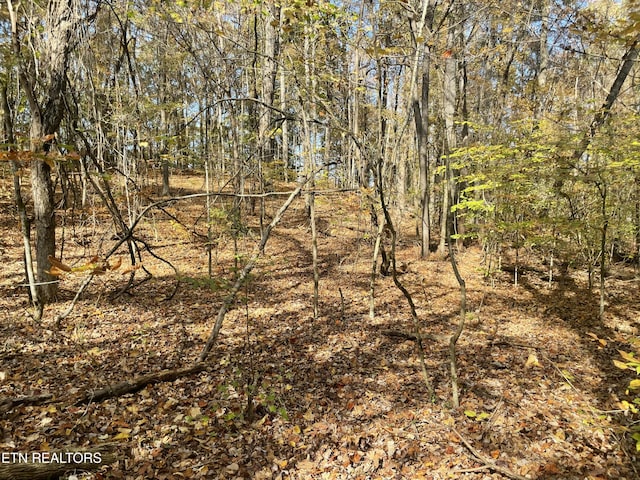 Creek Rd, Powell, TN 37849