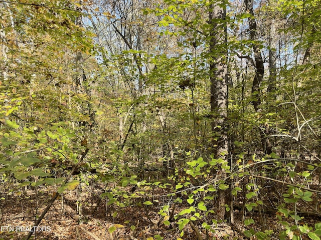 Creek Rd, Powell, TN 37849