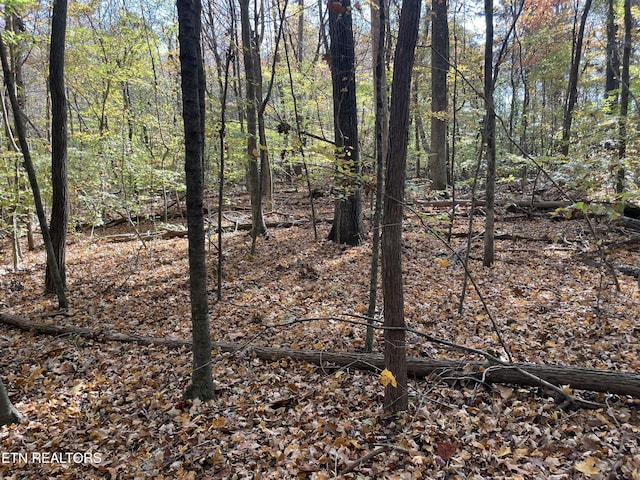 Creek Rd, Powell, TN 37849