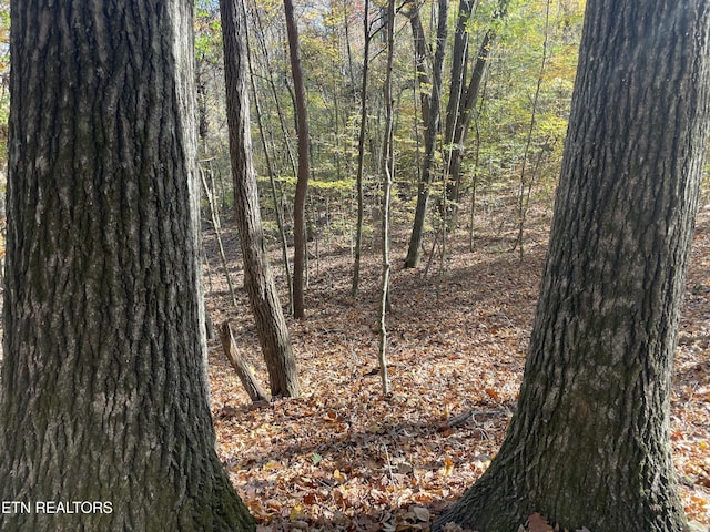 Creek Rd, Powell, TN 37849