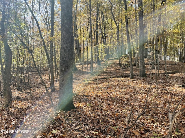 Creek Rd, Powell, TN 37849
