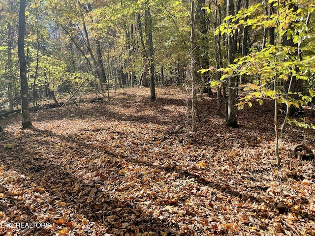 Creek Rd, Powell, TN 37849