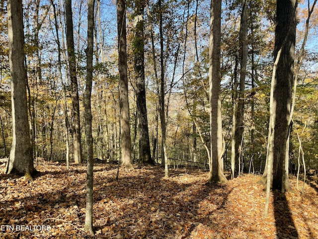 Creek Rd, Powell, TN 37849