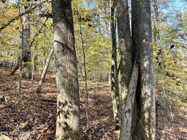 Creek Rd, Powell, TN 37849