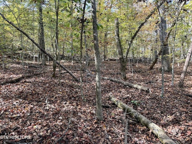 Creek Rd, Powell, TN 37849