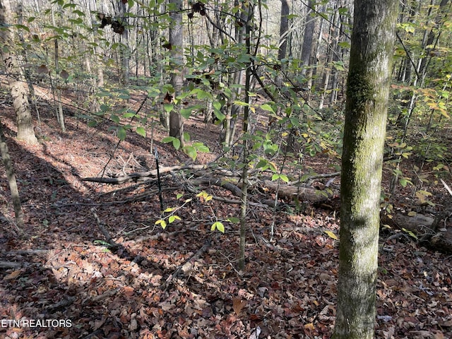 Creek Rd, Powell, TN 37849