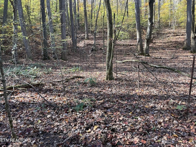 Creek Rd, Powell, TN 37849