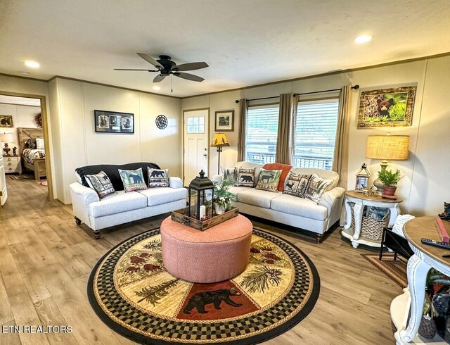 306 Bungalow Dr, Dandridge, TN 37725 - photo 6