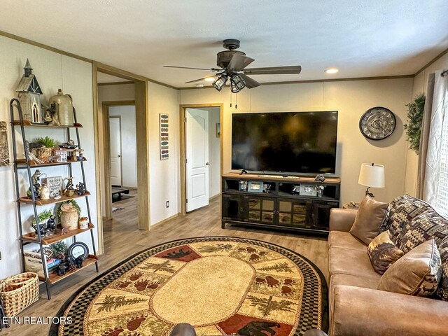 306 Bungalow Dr, Dandridge, TN 37725 - photo 22