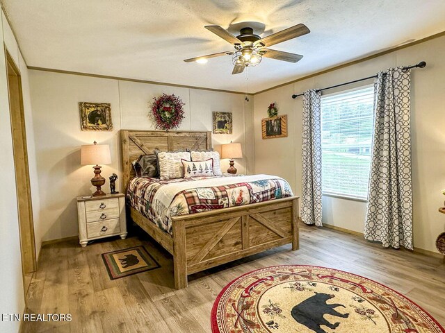 306 Bungalow Dr, Dandridge, TN 37725 - photo 27