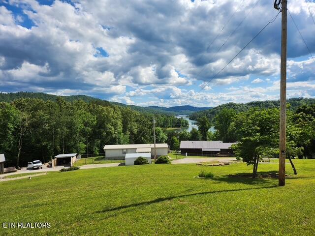 surrounding community featuring a yard, a mountain view, and a view of trees
