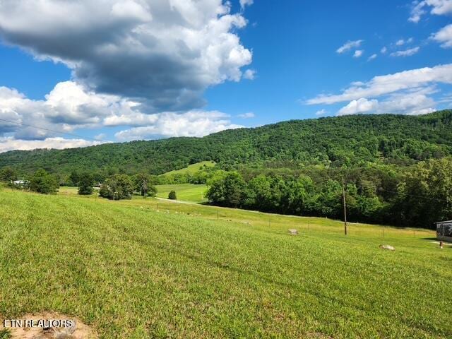 property view of mountains with a view of trees