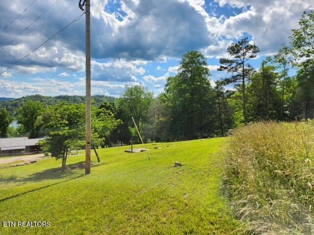 surrounding community featuring a yard