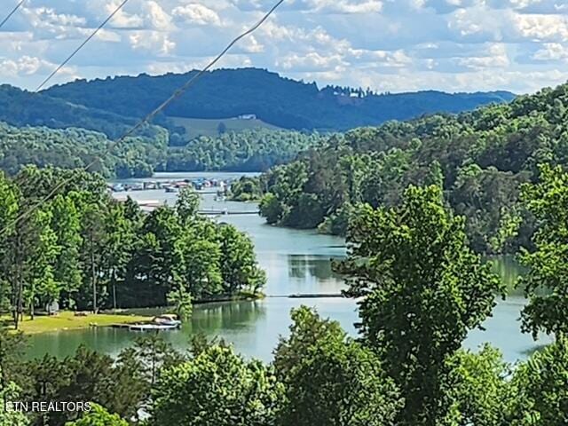 view of mountain feature with a water view and a wooded view