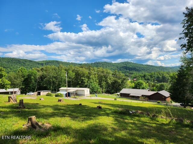 view of property's community featuring a wooded view, a mountain view, and a lawn