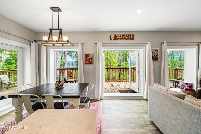 dining room with recessed lighting, a notable chandelier, plenty of natural light, and wood finished floors