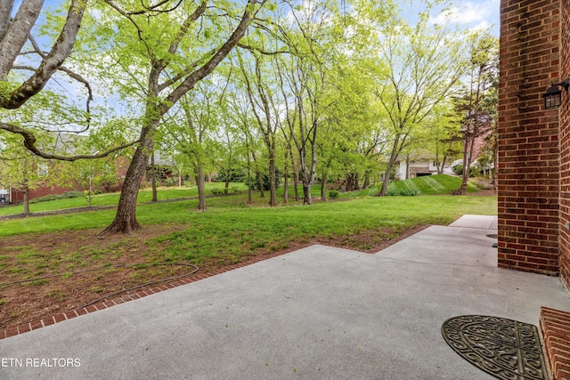 view of yard with a patio