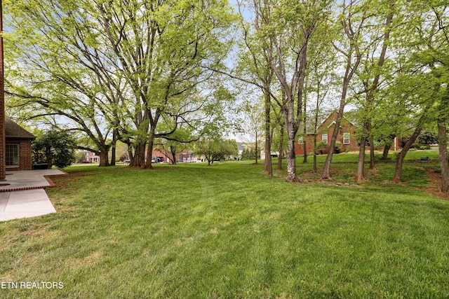 view of yard