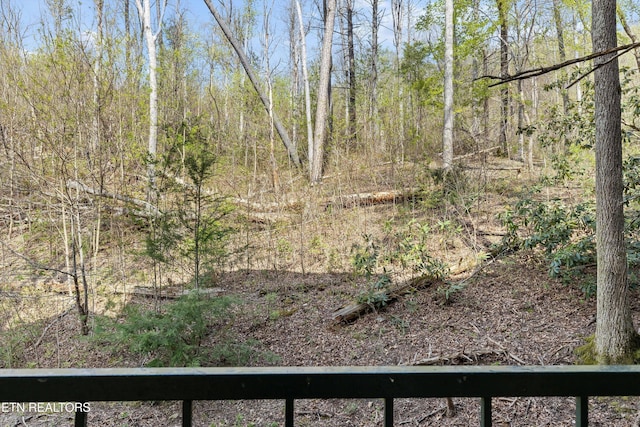 view of local wilderness