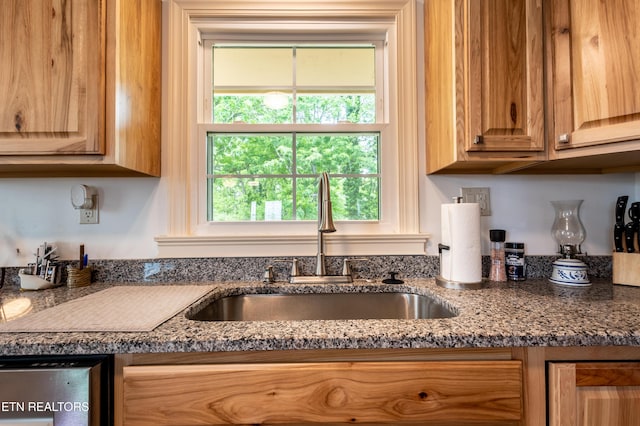 537 Wilson St, Newport, TN 37821 - kitchen with dark stone counters, dishwasher, and a sink