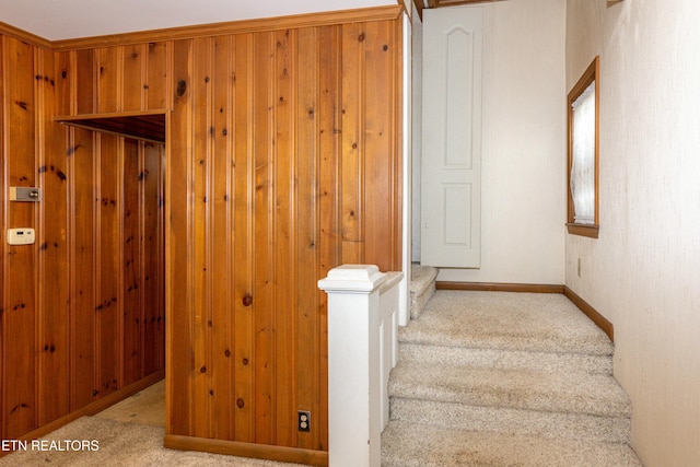 285 Telford St, Alcoa, TN 37701 - stairs featuring wooden walls, baseboards, and carpet flooring