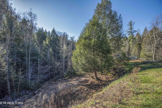 view of landscape with a wooded view
