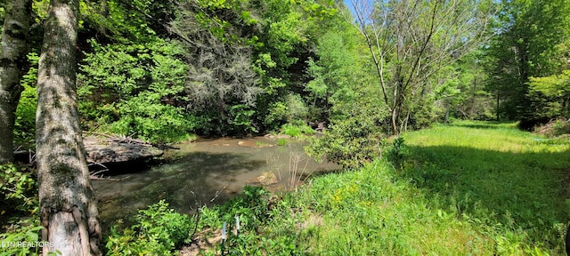 view of local wilderness with a forest view