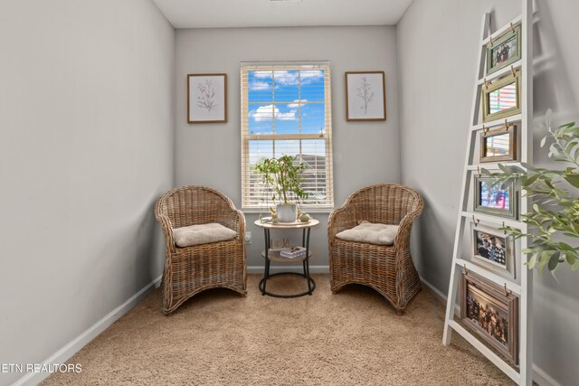 7300 Slippery Rock Ln, Knoxville, TN 37931 - sitting room with carpet and baseboards