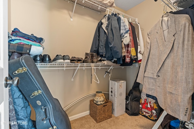 7300 Slippery Rock Ln, Knoxville, TN 37931 - spacious closet with carpet