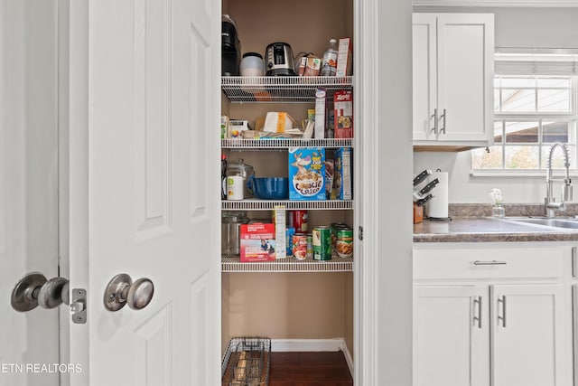 7300 Slippery Rock Ln, Knoxville, TN 37931 - pantry featuring a sink
