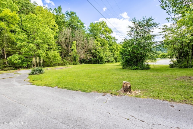 238 Dry Valley Rd, Thorn Hill, TN 37881 - view of grassy yard