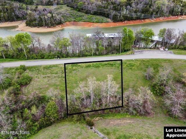 2073 Turners Landing Rd, Russellville, TN 37860