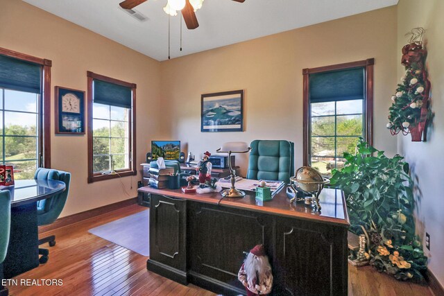 300 Lowe Rd, Huntsville, TN 37756 - office space featuring a ceiling fan, a wealth of natural light, and wood finished floors