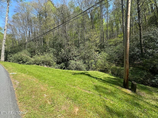 Butler Branch Rd, Gatlinburg, TN 37738 - photo 1
