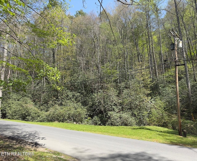Butler Branch Rd, Gatlinburg, TN 37738 - photo 2