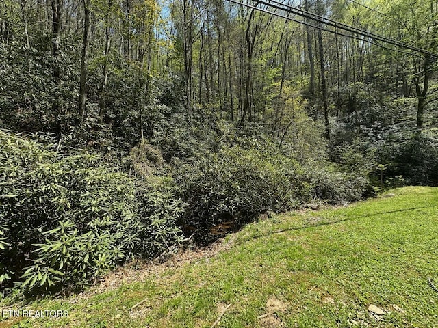 Butler Branch Rd, Gatlinburg, TN 37738 - photo 3