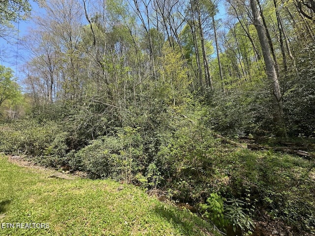 Butler Branch Rd, Gatlinburg, TN 37738 - photo 4