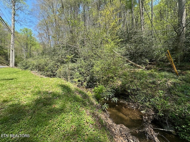 Butler Branch Rd, Gatlinburg, TN 37738 - photo 5