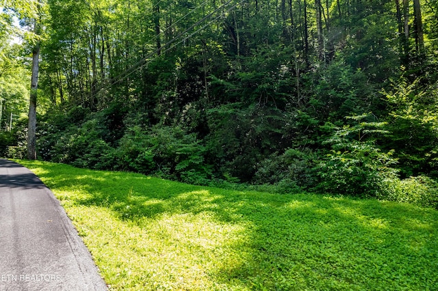 Butler Branch Rd, Gatlinburg, TN 37738 - photo 8