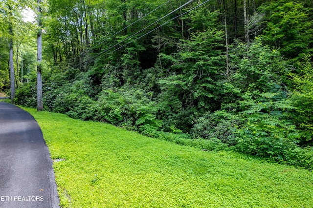 Butler Branch Rd, Gatlinburg, TN 37738 - photo 10
