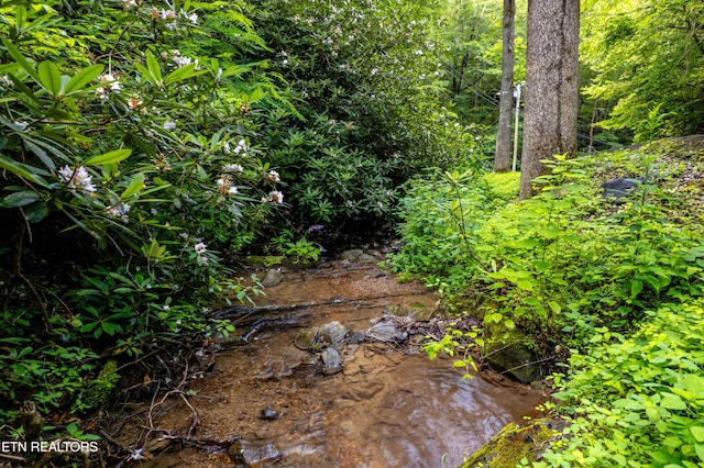 Butler Branch Rd, Gatlinburg, TN 37738 - photo 11