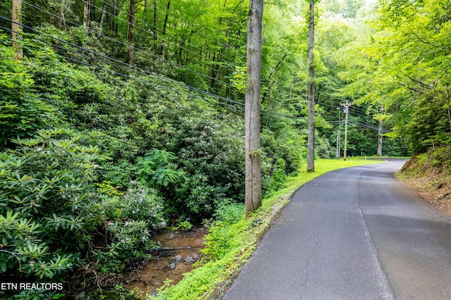 Butler Branch Rd, Gatlinburg, TN 37738 - photo 12