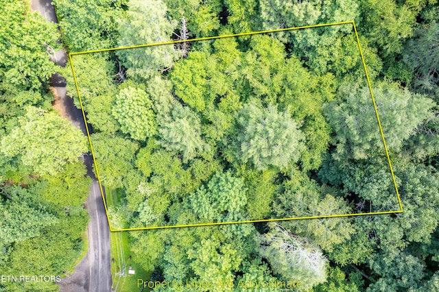 Butler Branch Rd, Gatlinburg, TN 37738 - photo 6
