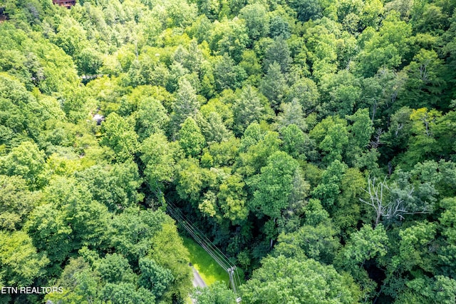 Butler Branch Rd, Gatlinburg, TN 37738 - photo 14