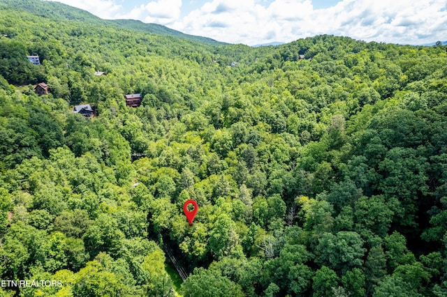 Butler Branch Rd, Gatlinburg, TN 37738 - photo 15