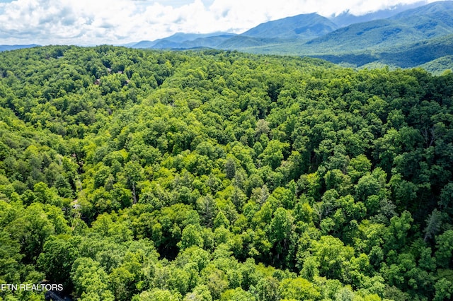 Butler Branch Rd, Gatlinburg, TN 37738 - photo 16
