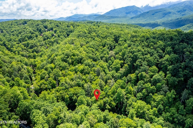 Butler Branch Rd, Gatlinburg, TN 37738 - photo 17