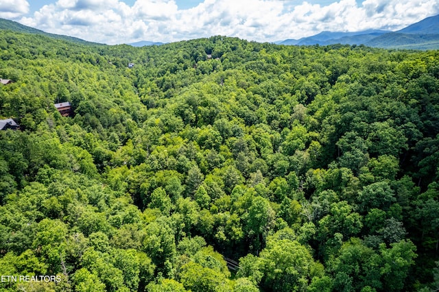 Butler Branch Rd, Gatlinburg, TN 37738 - photo 18