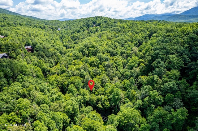 Butler Branch Rd, Gatlinburg, TN 37738 - photo 19